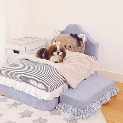 Cute puppy lying on a cozy bed with plush bear pillow, perfect for pet comfort and stylish home decor at Monalisa Store pet accessories.