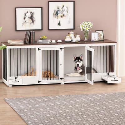 Spacious pet crate with two compartments for dogs and cats, featuring black bars, white frame, and a modern indoor setting for safe and comfortable pet transportation or resting.