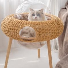 Fluffy cat lounging in a modern insulated pet bed with a transparent dome and bamboo-style frame, perfect for stylish pet comfort and indoor relaxation.
