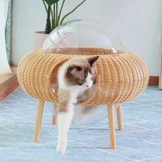 Elegantly crafted wicker cat house with glass bubble, perfect for stylish and comfortable pet relaxation at Monalisa Store.
