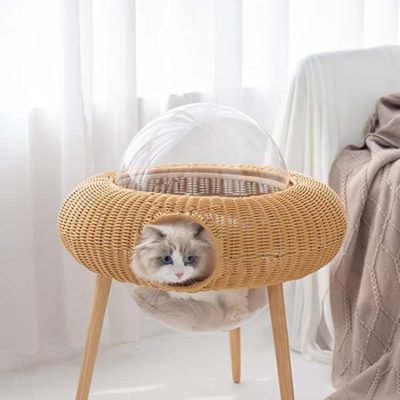 Wicker cat bed with transparent bubble enclosure and cute kitten inside, sturdy anti-slip legs, perfect for cats, modern pet furniture, Monalisa Medical store.