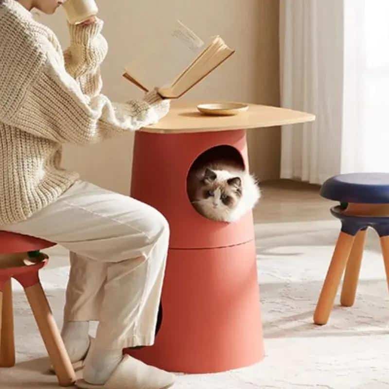 Fluffy cat inside modern pet furniture cone, cozy home reading scene, stylish pet furniture design, Monalisa Store pet accessories, premium quality cat furniture for stylish homes.