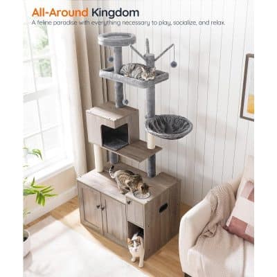 Multiple cats on a modern, multi-level cat tree and furniture unit in a cozy living room with Monalisa Medical branding in the background.