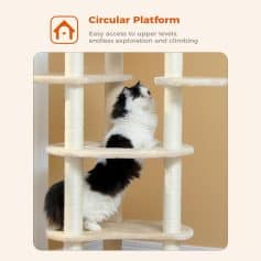 Gray and white cat exploring a beige cat tree at Monalisa Store, perfect for cat lovers and pet owners seeking quality pet furniture.