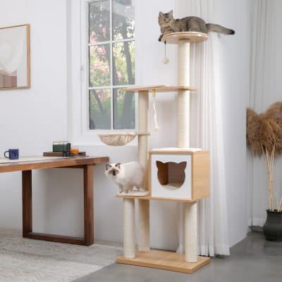 Multi-level cat tree with cozy hideouts and scratching posts, ideal for indoor cats to play, climb, and rest; features a natural wood finish and sisal-wrapped posts.