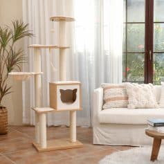 Luxury cat tree and scratching post with multiple platforms, cozy cubby, and sisal-wrapped poles for playful cats, in a bright living room with large window, white curtains, and comfortable sofa.