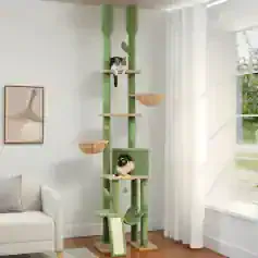 A tall green and beige multi-level cat tree with two cats lounging, located in a bright, modern living room near a large window. Perfect for indoor cats, offering play and relaxation.