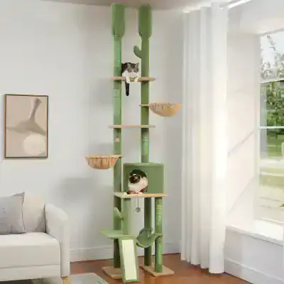 A tall green and beige multi-level cat tree with two cats lounging, located in a bright, modern living room near a large window. Perfect for indoor cats, offering play and relaxation.
