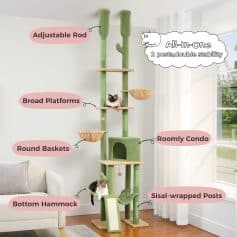 - A tall green cat tree with multiple platforms, baskets, and posts in a bright room, designed for cats' play and relaxation.