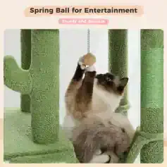 Cat playing with spring ball on a green cat tree, durable and sturdy, suitable for pet entertainment and enrichment, perfect for cat toys and scratching posts.
