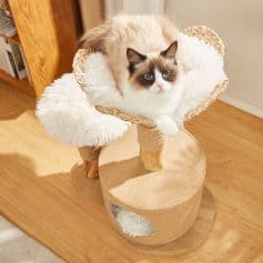 Elegant cat sitting on a cozy cat tree with plush cushioning at Monalisa Store, showcasing stylish pet furniture and accessories for cats.