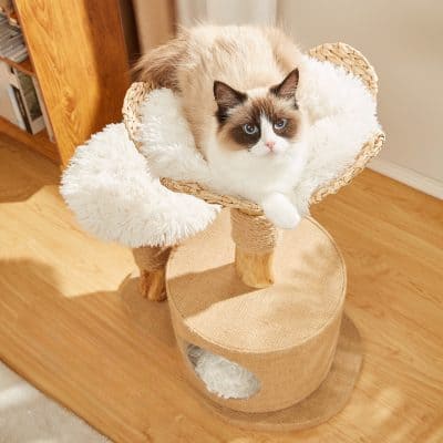 Elegant cat sitting on a cozy cat tree with plush cushioning at Monalisa Store, showcasing stylish pet furniture and accessories for cats.