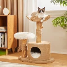 Cat scratching post with cozy perch and hideaway for cats, natural wood and sisal materials, ideal for feline play and relaxation at Monalisa Store.