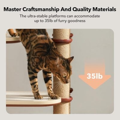 High-quality Bengal cat on Monalisa store cat tree, supporting up to 35lb, emphasizing durability and comfort for feline pets.