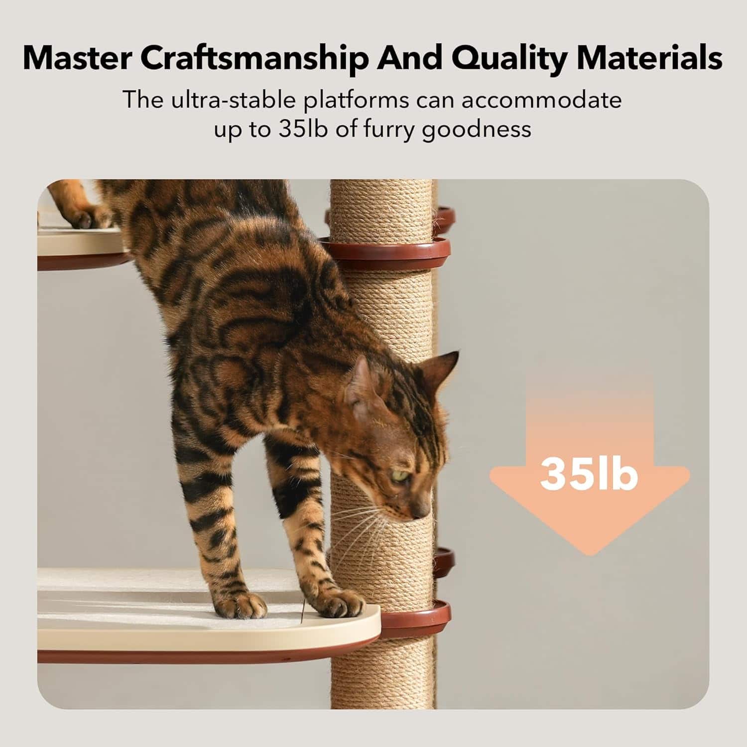 High-quality Bengal cat on Monalisa store cat tree, supporting up to 35lb, emphasizing durability and comfort for feline pets.