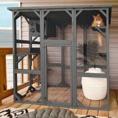 Outdoor cat enclosure with grey metal frame and fine mesh panels, featuring a cat perched inside, a potted plant, and cozy interior space for cats to play and relax.