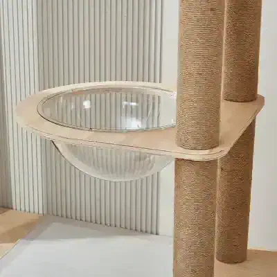 Modern optometry display with a mirror and wooden frame at Monalisa Store for eyewear and optical needs.