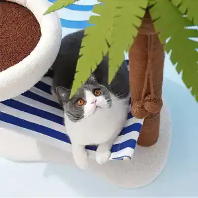 Fluffy gray and white cat looking up with bright orange eyes, sitting on a striped blue and white cozy cat bed, surrounded by playful pet accessories and greenery.