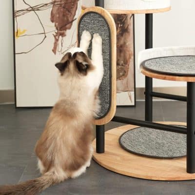 Peekaboo cat scratching post for cats, modern pet furniture with sisal-wrapped surface, sleek wooden and black metal design, perfect for feline scratching and lounging, stylish home decor for pets.