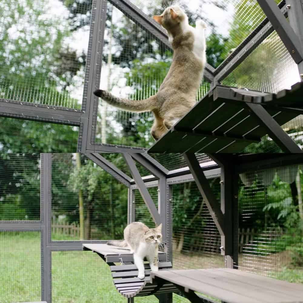 Metal outdoor cat enclosure with climbing platforms and mesh walls, ideal for feral and outdoor cats, providing safe space to play and explore.