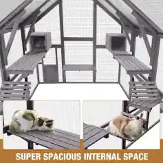 Aviary cat enclosure with spacious interior, multiple perches, escape-proof wire mesh, ideal for cat enclosures, outdoor cat cage, and pet safety.