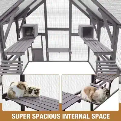 Aviary cat enclosure with spacious interior, multiple perches, escape-proof wire mesh, ideal for cat enclosures, outdoor cat cage, and pet safety.