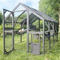 Metal chicken coop with nesting boxes, perches, and secure enclosure for backyard poultry management. Sturdy design ideal for raising hens in residential gardens.