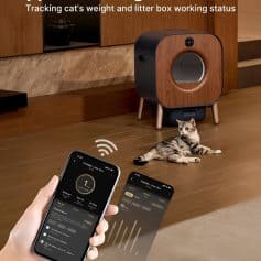 Monitoring cat health with smart litter box, app tracking cat's weight & litter box status, modern home pet care, connected pet technology, smart pet accessories for cat owners.