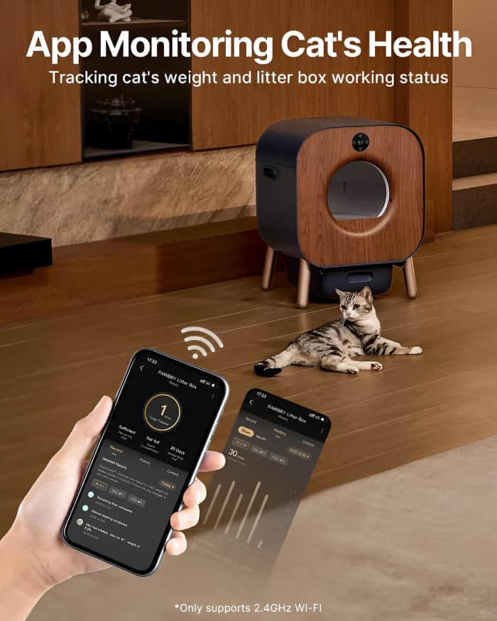Monitoring cat health with smart litter box, app tracking cat's weight & litter box status, modern home pet care, connected pet technology, smart pet accessories for cat owners.