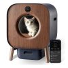 Cat inside modern wooden pet camera with interactive features for pet monitoring and care.