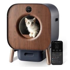 Cat inside modern wooden pet camera with interactive features for pet monitoring and care.