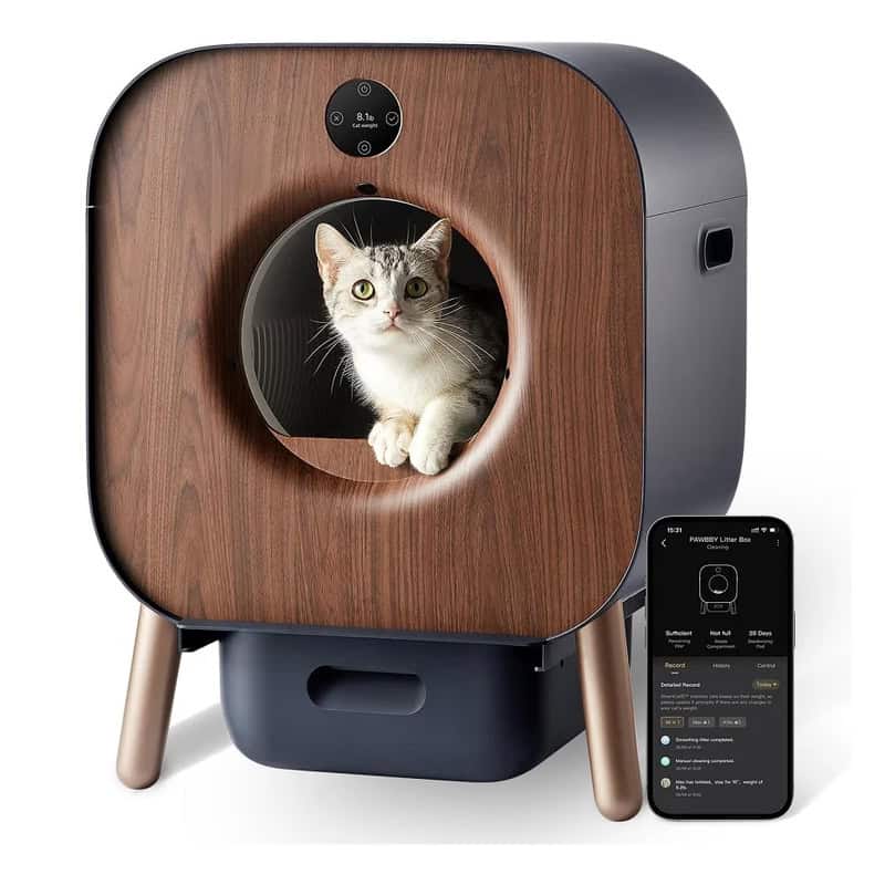 Cat inside modern wooden pet camera with interactive features for pet monitoring and care.