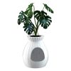 Monalisa store decorative ceramic plant pot with a lush green Monstera plant, ideal for home and office decor, promoting wellness and natural aesthetics.