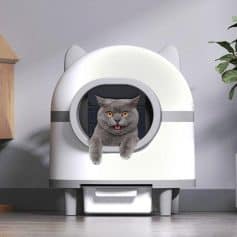 A cute gray cat with yellow eyes sticking out of a futuristic white pet cabin with cat ears and an open door.