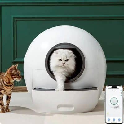 Cleaning smart litter box with app control, modern pet tech, automatic cat litter box, connected pet care device, and Monalisa Store innovative pet products.