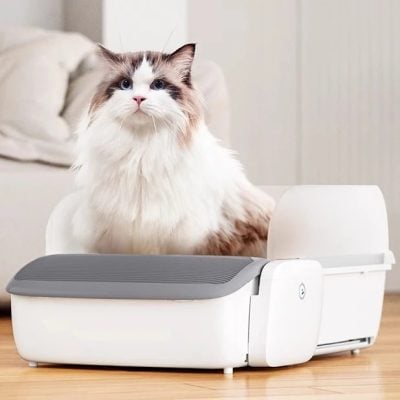 Cats weighing scale for pets, modern veterinary scale for cats and small animals at Monalisa Store.