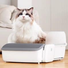 High-tech pet grooming device with sleek design, perfect for maintaining your pet's hygiene at home. Innovative pet salon equipment for at-home grooming.