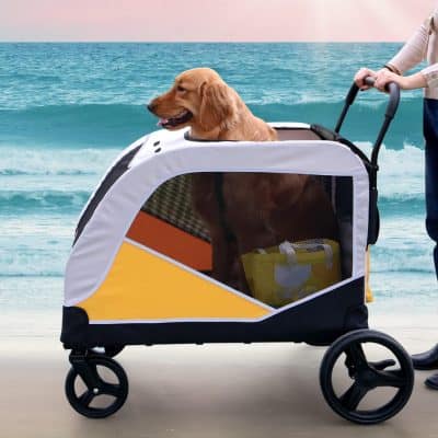 Comfortable pet stroller with a golden retriever enjoying the beach scenery, designed for easy transportation of pets during outdoor adventures.