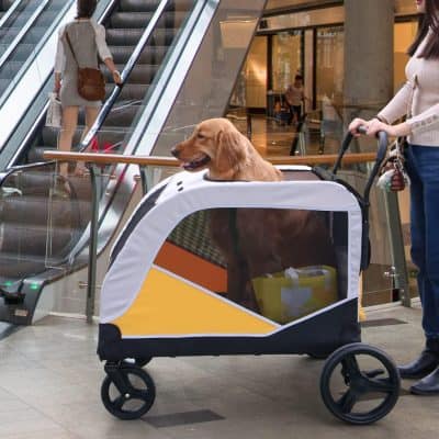 Comfortable pet stroller for dogs with ample ventilation and secure mesh panels for safe outdoor walks. Ideal for small to medium-sized dogs, providing convenience for pet owners in shopping centers and urban environments.