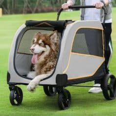 Dog in a pet stroller at Monalisa Store, portable pet carrier for small dogs, outdoor pet mobility, dog travel gear, lightweight pet stroller for active pet owners.