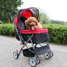 Dog in a pet stroller during outdoor walk, pet mobility and comfort, portable pet carrier with mesh cover, suitable for small dogs and puppies, outdoor pet accessories, Monalisa Store products.