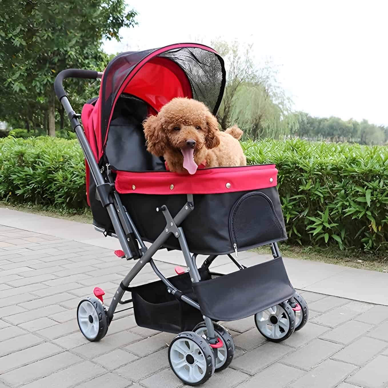 Dog in a pet stroller during outdoor walk, pet mobility and comfort, portable pet carrier with mesh cover, suitable for small dogs and puppies, outdoor pet accessories, Monalisa Store products.