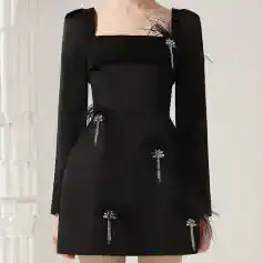 Luxurious black dress with feather and rhinestone embellishments, perfect for elegant events and fashion-forward occasions at Monalisa Store.