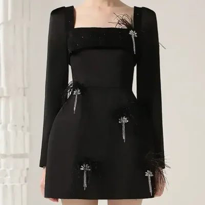 Luxurious black dress with feather and rhinestone embellishments, perfect for elegant events and fashion-forward occasions at Monalisa Store.