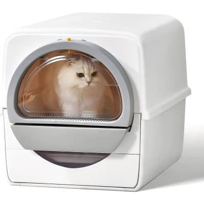 Feline-friendly pet dryer, cat in a professional grooming dryer, pet grooming equipment, automated cat drying machine, high-quality pet grooming tools for cats.