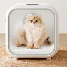 Fluffy orange Persian cat inside a modern, compact cat dryer from Monalisa Store, designed for pet grooming and hygiene.