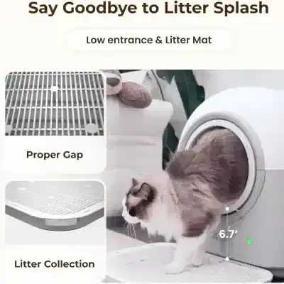 Colorful pet cat using washing machine to clean, pet hygiene, grooming, feline health, pet care.