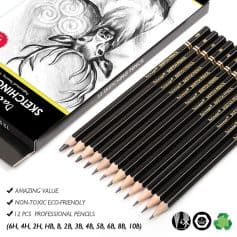 12 pack sketch pencils for professional artists - non-toxic, eco-friendly drawing supplies, perfect for shading and detailed artwork, available at Monalisa Store.