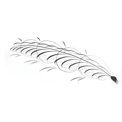 Elegant black feather illustration with minimalist design for optical store branding and eyewear fashion. Perfect for beauty, style, and vision accessories branding.