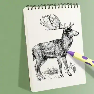Black and white sketch of a majestic deer with large antlers being colored with a purple and yellow marker on a notepad. Perfect for art, coloring, or wildlife illustration keywords.